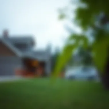 Notable Understanding USDA Mortgage Eligibility Notable Understanding USDA Mortgage Eligibility