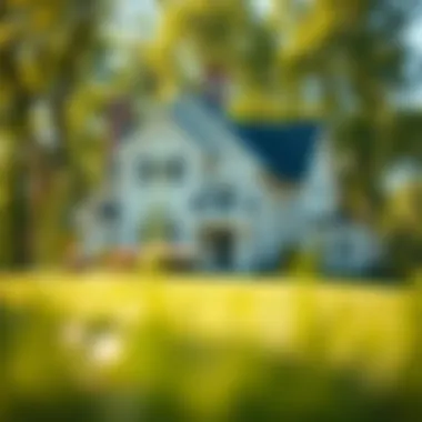 Understanding USDA Mortgage Eligibility Summary Understanding USDA Mortgage Eligibility Summary